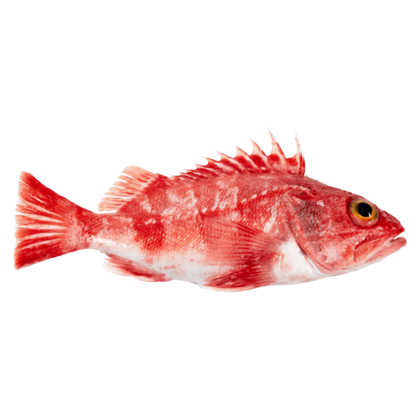 Cantaril (24,90€/kg)