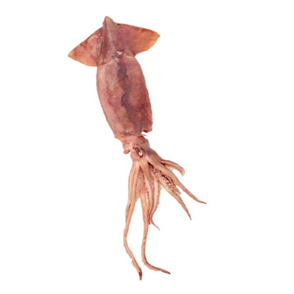 Lula (19,80€/kg)