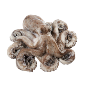 Polvo (16,90€/kg)