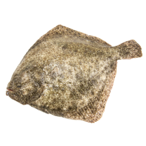 Pregado de viveiro (21,90€/kg)