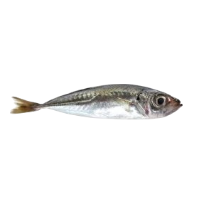 Pelim - Carapau pequeno (14,90€/kg)