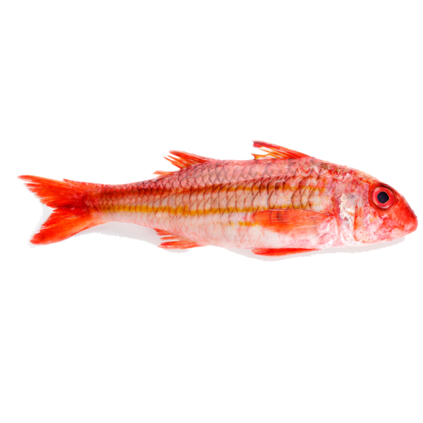 Salmonetes (34,90€/kg)